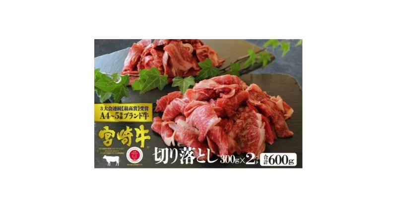 【ふるさと納税】宮崎牛 切り落し 600g（300g×2）※配送不可：一部離島　 肉 お肉 牛肉 宮崎牛 黒毛和牛 小間切れ 牛丼 肉じゃが 炒め物 すき焼き しゃぶしゃぶ 宮崎県産 産地直送 　お届け：※お届けに2ヶ月程度かかります。