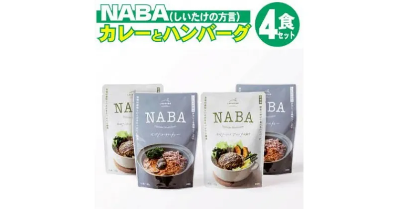 【ふるさと納税】レトルト カレー ハンバーグ NABA 計4食セット バターチキンカレー 2食＆ハンバーグアンチョビソース掛け 2食 セット　 お肉 加工食品 惣菜 レトルト スパイシー 子供