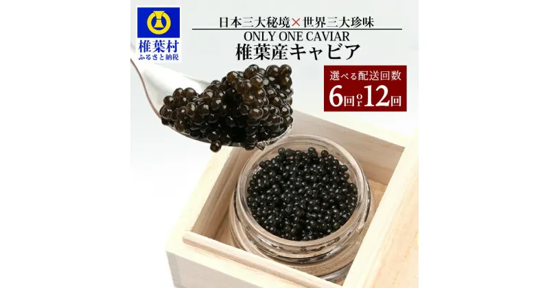 【ふるさと納税】定期便 10g×【6回 or 12回】【桐箱入り】HEIKE CAVIAR 椎葉産 キャビア 【計60g or 計120g】｜送料無料 国産 キャビア プレゼント 魚卵 珍味 世界三大珍味 高級 贅沢 お取り寄せ ディナー パーティー グルメ ギフト お祝い 贈り物 贈答 おすすめ 桐箱｜