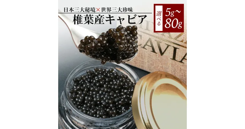 【ふるさと納税】【桐箱入り】HEIKE CAVIAR 椎葉産 キャビア 5g～80g【SZ-109】｜送料無料 キャビア 国産 チョウザメ お酒 プレゼント 魚介 魚卵 珍味 世界三大珍味 加工品 冷凍 高級 贅沢 お取り寄せ ディナー パーティー グルメ ギフト 誕生日 お祝い 贈り物 贈答 桐箱｜