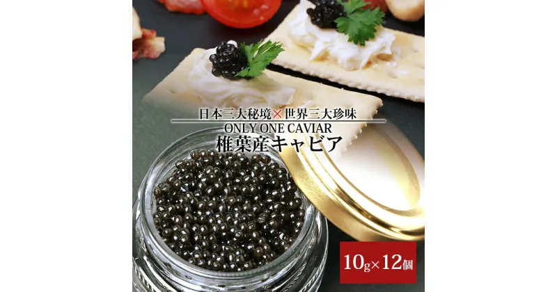 【ふるさと納税】HEIKE CAVIAR 椎葉産 キャビア 10g×12個【合計120g】【SZ-113】｜送料無料 キャビア 国産 人気 チョウザメ お酒 プレゼント 魚介 魚卵 珍味 世界三大珍味 加工品 冷凍 高級 贅沢 お取り寄せ ディナー パーティー おつまみ グルメ ギフト 誕生日 記念日｜