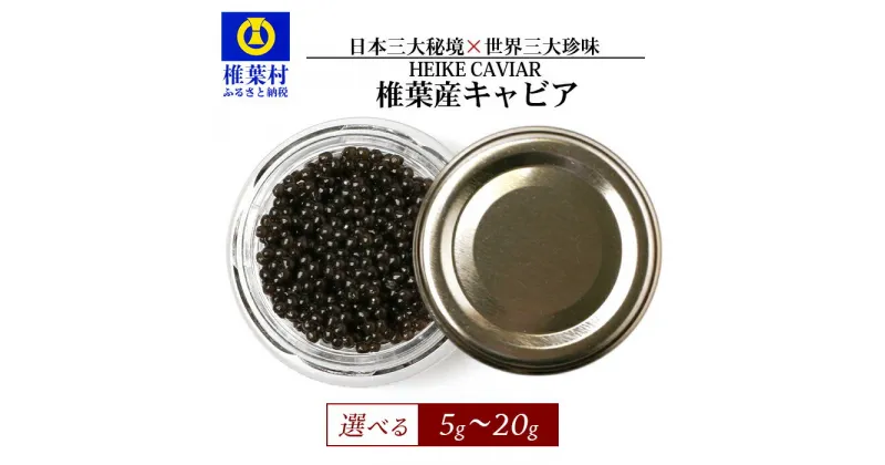 【ふるさと納税】【訳あり】HEIKE CAVIAR 5g～20g【SZ-117】｜送料無料 国産 お酒 プレゼント 魚介 魚卵 珍味 世界三大珍味 加工品 冷凍 高級 贅沢 お取り寄せ ディナー パーティー グルメ ギフト 誕生日 記念日 お祝い 贈答 おすすめ 桐箱 特産品 希少 わけあり 訳アリ｜