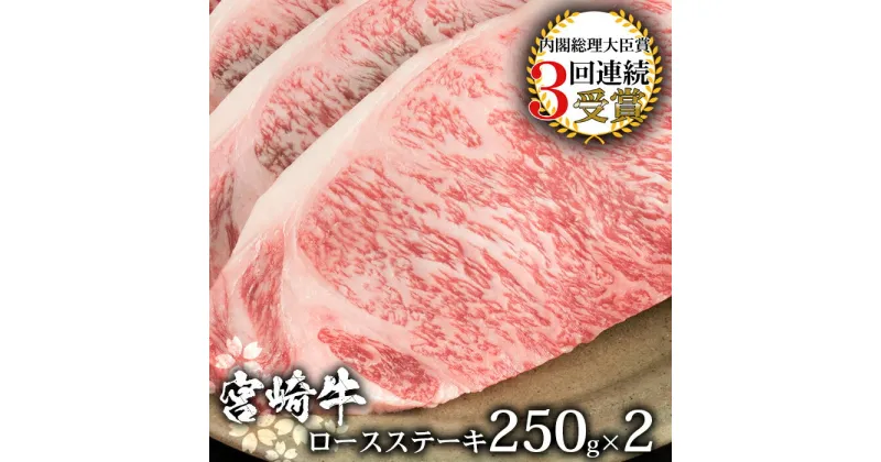 【ふるさと納税】受賞歴多数!! 宮崎牛 ロースステーキ 250g×2【合計500g】宮崎県産 肉 和牛 黒毛和牛 国産 冷凍 父 母 敬老 お祝い 内祝い お中元 お歳暮 贈り物 ギフト 誕生日 プレゼント BBQ キャンプ 焼き肉　焼肉 ロース ステーキ アウトドア 厳選 ブランド牛 おすすめ