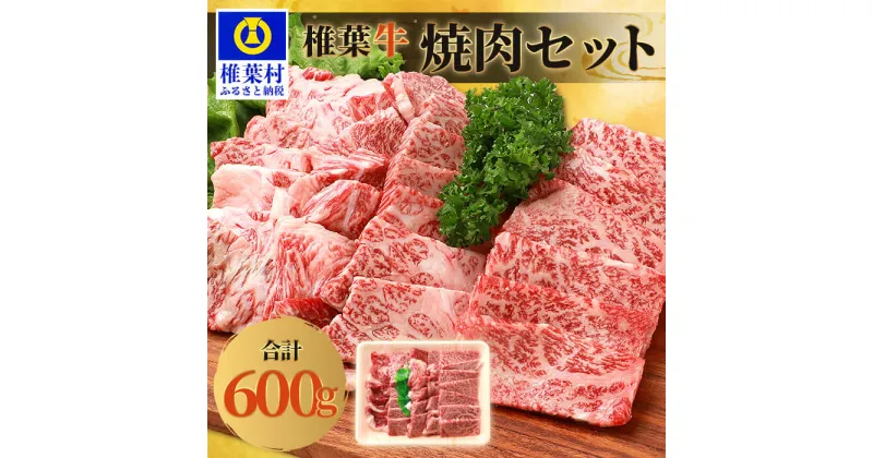 【ふるさと納税】宮崎県産 椎葉牛 焼肉セット【600g】【A5等級】【TK-23】｜送料無料 牛 肉 人気 黒毛和牛 和牛 国産牛 国産 ブランド牛 A5等級 父 母 お祝い 贈り物 ギフト 誕生日 プレゼント BBQ キャンプ 冷凍 焼き肉セット こだわり バーベキュー 焼き肉 牛丼 炒め物｜