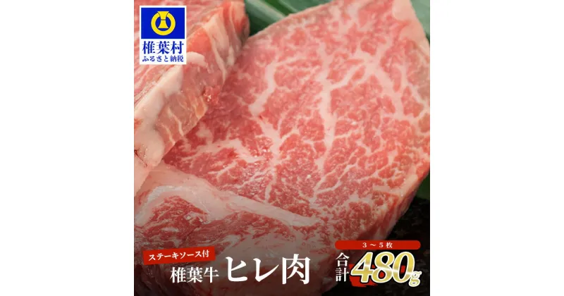 【ふるさと納税】宮崎県産 椎葉牛 ヒレ肉 【480g】お試しステーキソース付き【A5等級指定 黒毛和牛】【TK-24】｜送料無料 牛 肉 人気 黒毛和牛 和牛 国産牛 国産 ブランド牛 A5等級 ステーキ ヒレステーキ フィレ ヒレ ギフト 贈り物 キャンプ アウトドア バーベキュー｜