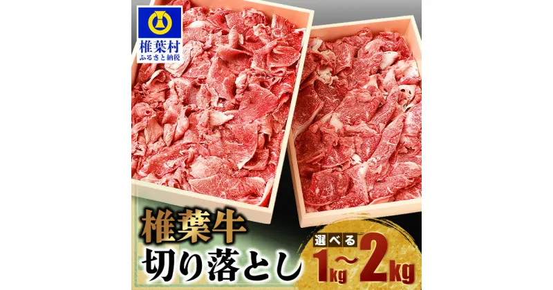 【ふるさと納税】宮崎県産 椎葉牛 牛肉 切り落とし【1kg】【2kg】|送料無料 牛 肉 A5等級 人気 宮崎県産 肉 和牛 黒毛和牛 国産 冷凍 父 母 敬老 お祝い お中元 お歳暮 贈り物 ギフト 誕生日 プレゼント BBQ キャンプ 冷凍 焼き肉 すき焼き すきやき カレー 発送月が選べる|