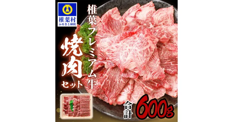 【ふるさと納税】宮崎県産 椎葉プレミアム牛 焼肉セット【600g】【TK-40】｜送料無料 牛 肉 人気 黒毛和牛 和牛 国産牛 国産 ブランド牛 A5等級 お祝い ギフト 誕生日 プレゼント BBQ キャンプ 冷凍 焼き肉セット こだわり アウトドア バーベキュー 焼き肉 牛丼 炒め物｜