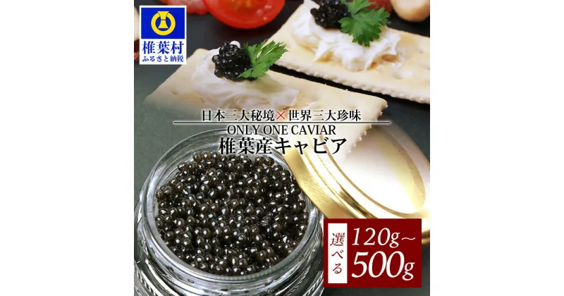 【ふるさと納税】HEIKE CAVIAR 椎葉産 キャビア 合計120g～500g【SZ-126】|送料無料 キャビア 人気 国産 チョウザメ プレゼント 魚介 魚卵 珍味 世界三大珍味 加工品 冷凍 高級 贅沢 お取り寄せ ディナー パーティー おつまみ グルメ ギフト お祝い 贈り物 希少 産地直送|