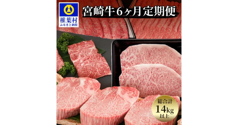 【ふるさと納税】【定期便 6回】受賞歴多数!! 宮崎牛 バラエティ【宮崎県産 肉 和牛 黒毛和牛 国産 冷凍 父 母 敬老 お祝い 内祝い お中元 お歳暮 贈り物 ギフト 誕生日 キャンプ ヒレ ロース 肩ロース スライス ウデ モモ】ステーキ 焼肉 しゃぶしゃぶ すきやき ブランド牛