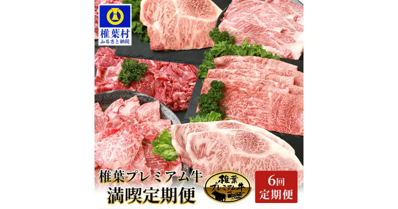 【ふるさと納税】【定期便6回】総重量3.1kg！椎葉プレミアム牛満喫定期便≪ステーキ・すき焼き・しゃぶしゃぶ・焼き肉≫【TK-56】｜送料無料 牛 肉 人気 黒毛和牛 和牛 国産牛 国産 ブランド牛 A5等級 サーロイン 肩ロース 切り落とし モモスライス 焼き肉セット 定期便｜