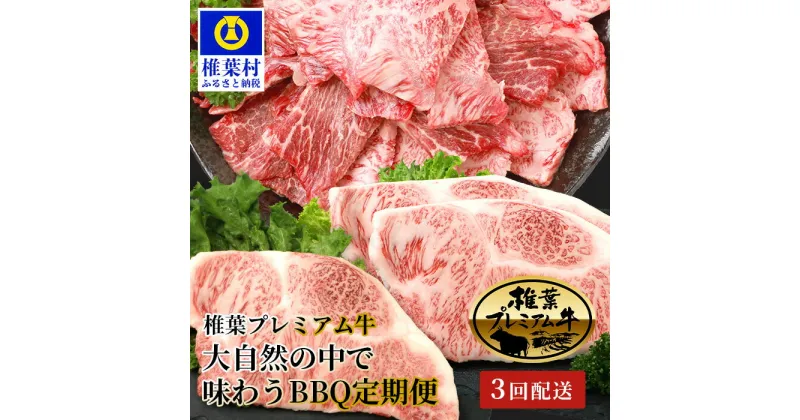 【ふるさと納税】【定期便3回】総重量1.8kg！椎葉プレミアム牛 大自然の中で味わうBBQ定期便≪焼き肉・ステーキ≫ 【TK-60】｜送料無料 牛 肉 人気 黒毛和牛 和牛 国産牛 国産 ブランド牛 A5等級 焼き肉セット ロース サーロイン 定期便 定期 ご褒美 牛 焼き肉 すき焼き｜