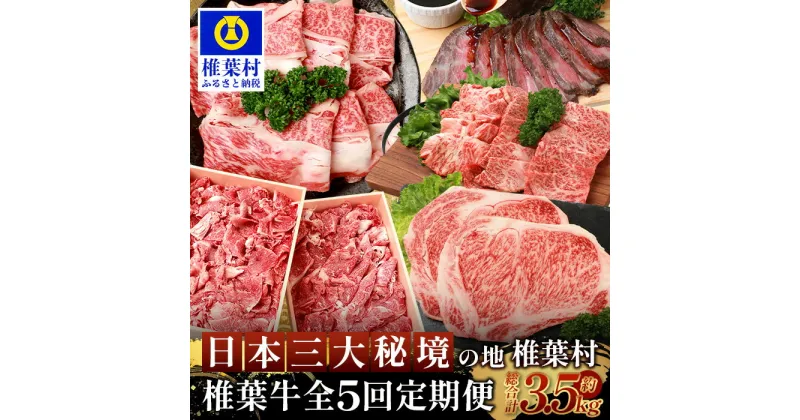 【ふるさと納税】【定期便 5回】総重量3.5kg！椎葉牛オールスター 定期便 ≪ローストビーフ・切り落とし・焼き肉・スライス・ステーキ≫【A5等級指定 黒毛和牛】【TK-62】｜送料無料 牛 肉 人気 黒毛和牛 和牛 国産牛 国産 ブランド牛 A5等級 定期便 厳選 BBQ すき焼き｜