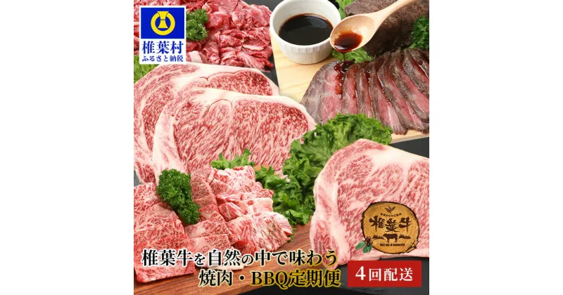 【ふるさと納税】【定期便4回】総重量2.4kg！椎葉牛 大自然の中で味わう焼肉・BBQ定期便【A5等級指定 黒毛和牛】≪焼き肉・ステーキ・切り落とし・ローストビーフ≫【TK-63】｜ 定期便 牛 肉 人気 黒毛和牛 和牛 国産牛 国産 ブランド牛 A5等級 プレゼント 定期便 定期｜