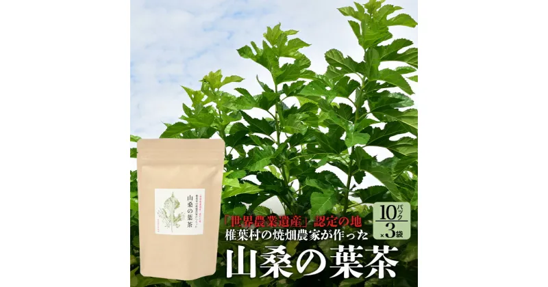 【ふるさと納税】【世界農業遺産の産物】焼畑農家がつくった山桑の葉茶 ティーバック 10パック×3袋【桑茶】国産 茶葉 山桑 やまくわ 桑茶 無添加 無農薬 寒さ対策 体 温まる お肌 アロマ効果 お茶 茶 健康茶 栄養 食物繊維 便利 ティー ティータイム お土産 手土産 ご当地