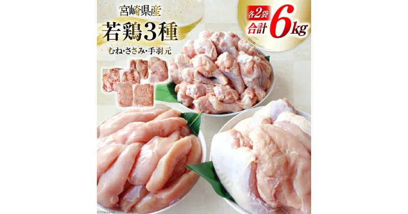 【ふるさと納税】鶏肉 若鶏 むね肉 ささみ 手羽元 セット 各 1kg ×2 計 6kg [九州児湯フーズ 宮崎県 美郷町 31ai0011] 肉 鶏 むね ムネ ササミ 冷凍 宮崎県産 小分け 詰め合わせ