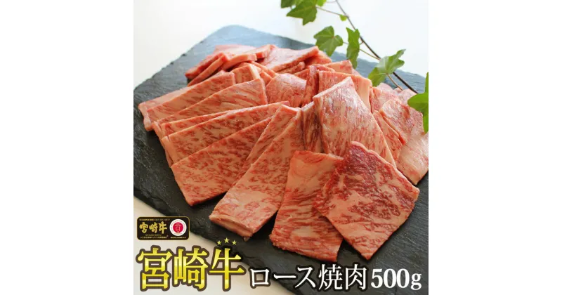 【ふるさと納税】【宮崎牛】 ロース 焼肉 500g 黒毛和牛 A4 A5等級 [SHINGAKI 宮崎県 美郷町 31ag0048] 牛 鉄板焼き 国産 宮崎 宮崎県産 冷凍 送料無料 ブランド 牛 肉 霜降り BBQ バーベキュー キャンプ ギフト プレゼント