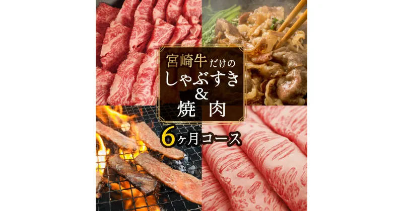 【ふるさと納税】6回 定期便 宮崎牛 しゃぶ すき & 焼肉 6ヶ月 コース 合計 4.2kg [SHINGAKI 宮崎県 美郷町 31ag0085] 牛肉 宮崎牛 焼肉 鉄板焼き しゃぶしゃぶ すき焼き 黒毛 和牛 国産 宮崎 A4 A5等級 牛 宮崎県産 冷凍 送料無料 ブランド 牛 肉 霜降り BBQ