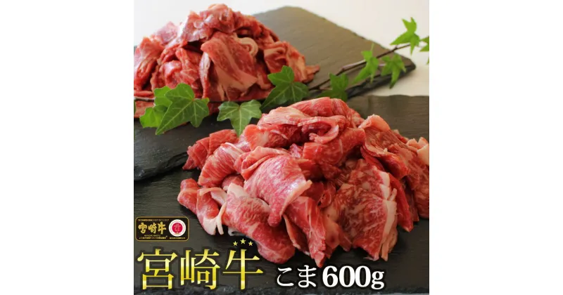 【ふるさと納税】【宮崎牛】こま肉 300g×2パック 計600g [SHINGAKI 宮崎県 美郷町 31ag0060] 牛肉 小間 冷凍 内閣総理大臣賞受賞 宮崎県産 九州産 送料無料 肉じゃが 牛丼 野菜炒め 小分け