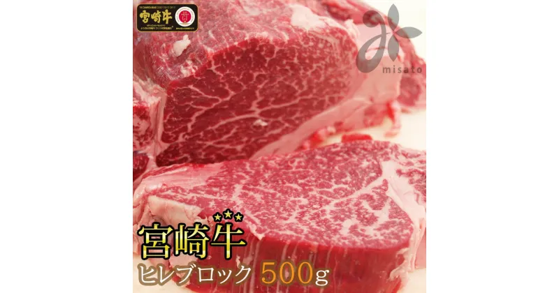 【ふるさと納税】【宮崎牛】 宮崎牛 ヒレ ブロック 500g [SHINGAKI 宮崎県 美郷町 31ag0064] フィレ ヘレ 希少部位 牛肉 ステーキ 焼肉 真空 冷凍 内閣総理大臣賞受賞 宮崎県産 送料無料 赤身