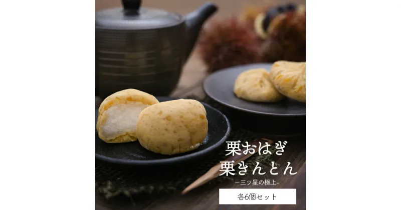 【ふるさと納税】【期間限定受付】和菓子 栗きんとん & 栗おはぎ 各 6個入 × 2箱 [栗きんとん はな恵 宮崎県 美郷町 31am0006] 菓子 お菓子 栗 和栗 国産 スイーツ 冷凍 セット