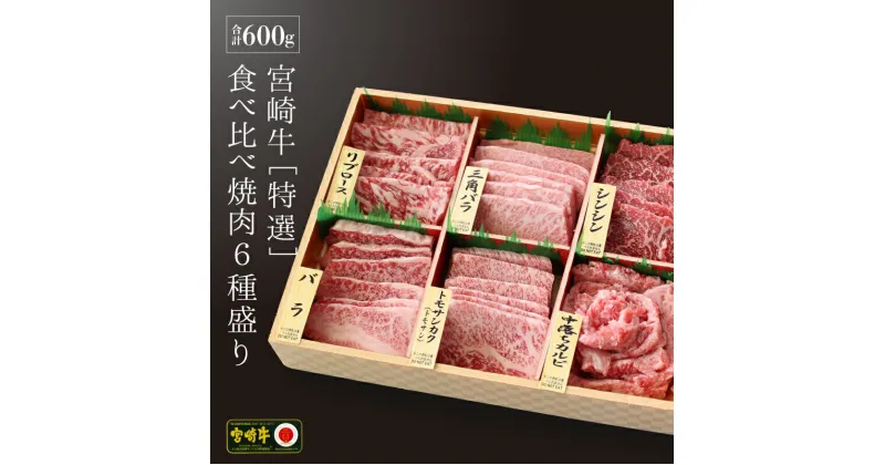 【ふるさと納税】【宮崎牛】 特選 食べ比べ 焼肉 6種盛り 600g [SHINGAKI 宮崎県 美郷町 31ag0080] ロース カルビ 赤身 霜降り 特選赤身 中落カルビ 希少 冷凍 内閣総理大臣賞受賞 宮崎県産 九州産 送料無料 焼肉 BBQ バーベキュー キャンプ