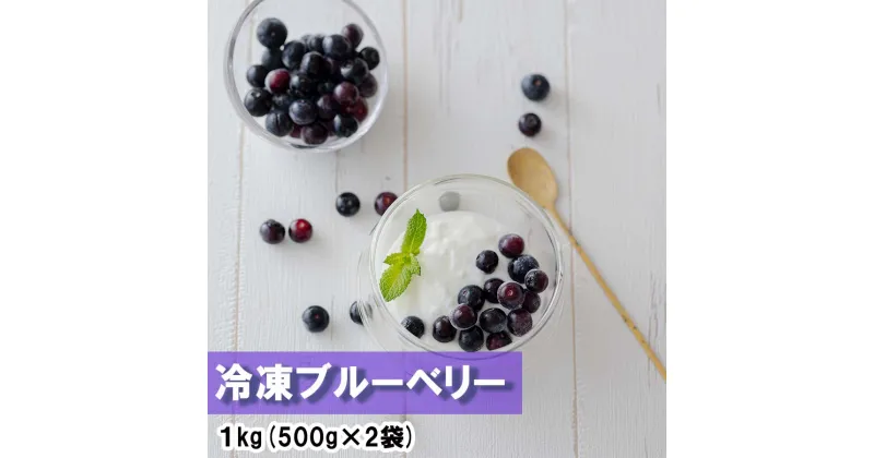 【ふるさと納税】【期間限定配送】 ブルーベリー 冷凍 500g × 2袋 1kg [農林産物直売所 美郷ノ蔵 宮崎県 美郷町 31ab0090] 国産 手摘み 小分け ヨーグルト 宮崎県産 おやつ お菓子 朝ごはん 朝ご飯