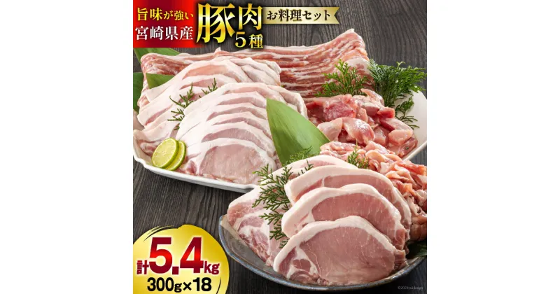 【ふるさと納税】豚肉 小分け 切り落とし ロース 豚バラ スライス お料理セット 計5.4kg [甲斐精肉店 宮崎県 美郷町 31as0046] 肉 冷凍 宮崎県産 豚 送料無料 とんかつ 生姜焼き カレー シチュー ウデ 腕 切落し 詰め合わせ 真空包装 収納スペース うす切り 薄切り 調理