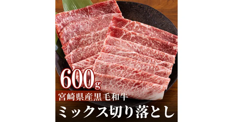 【ふるさと納税】宮崎県産 黒毛和牛 切り落とし 300g×2 計600g [日本ハムマーケティング 宮崎県 美郷町 31bd0013] 小分け モモ カタ バラ ミックス 冷凍 送料無料 国産 牛 肉 切落し 牛丼 肉じゃが しぐれ煮 煮込み 肩 普段使い 母の日 父の日 プレゼント ギフト 贈り物