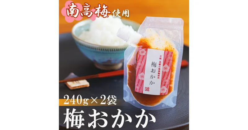 【ふるさと納税】南高梅 梅おかか 240g×2袋 [農林産物直売所 美郷ノ蔵 宮崎県 美郷町 31ab0102] ねり梅 和え物 簡単調理 便利 あっさり さっぱり 国産 セット 詰め合わせ 宮崎県産 常温 送料無料 贈答品 プレゼント ギフト 調味料 料理 調理 おかず 薬味 そうめん 素麺