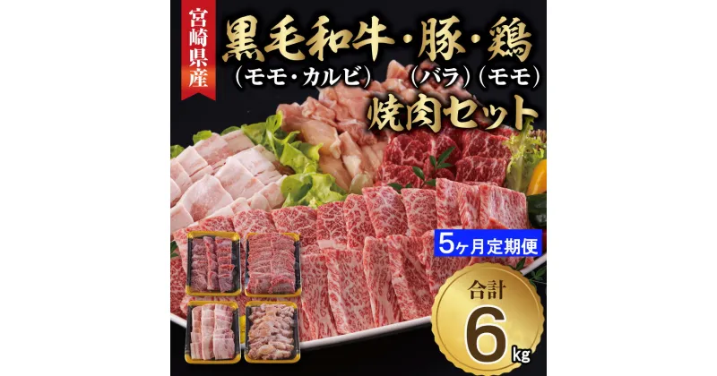 【ふるさと納税】牛肉 5回 定期便 宮崎県産 焼肉 セット 黒毛和牛 モモ カルビ 豚バラ 若鶏 モモ 各 300g 計 6kg [サンアグリフーズ 宮崎県 美郷町 31ba0036] 小分け 冷凍 国産 詰め合わせ 経産牛 もも肉 モモ 牛 豚 鶏