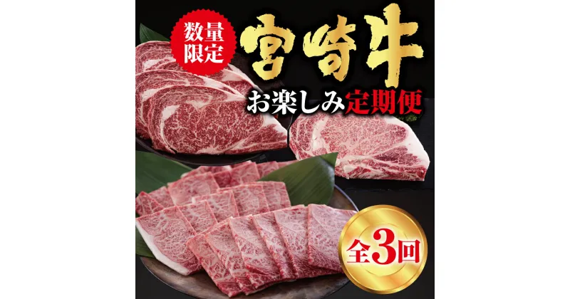 【ふるさと納税】3回 定期便 宮崎牛 ロースステーキ 600g 肩焼肉 400g ワンポンドステーキ 454g [日本ハムマーケティング 宮崎県 美郷町 31bd0023] 冷凍 送料無料 国産 黒毛和牛 A5 A4等級 ブランド 牛 肉 霜降り バーベキュー キャンプ BBQ 宮崎県産 母の日 父の日