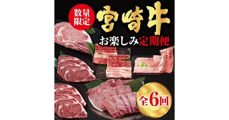 【ふるさと納税】6回 定期便 宮崎牛 ロースステーキ 肩焼肉 ワンポンドステーキ もも バラ すき焼き 肩ロース 約3kg [日本ハムマーケティング 宮崎県 美郷町 31bd0024] 冷凍 送料無料 国産 黒毛和牛 A5 A4等級 ブランド 牛肉 霜降り バーベキュー キャンプ BBQ 宮崎県産