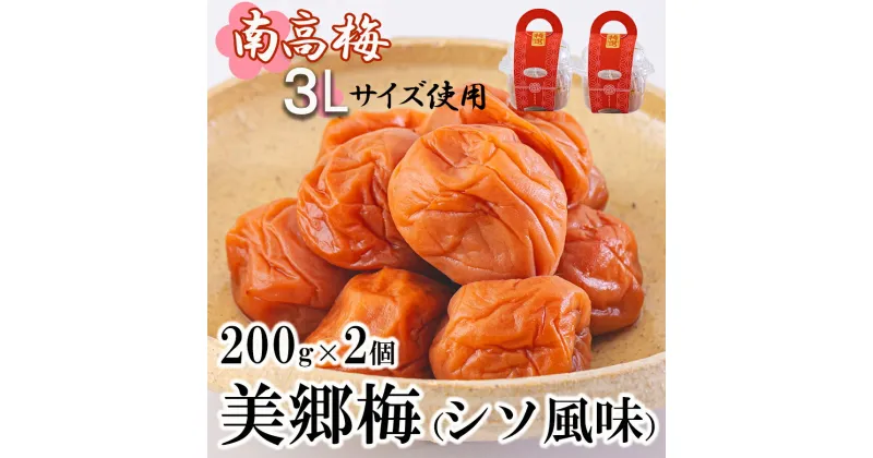 【ふるさと納税】南高梅 梅干し 美郷梅 シソ風味 200g×2 3Lサイズ 塩分控えめ A級品 [農林産物直売所 美郷ノ蔵 宮崎県 美郷町 31ab0110] 国産 宮崎県産 美郷産 常温 送料無料 贈り物 贈答品 プレゼント ギフト 紫蘇 おやつ お菓子