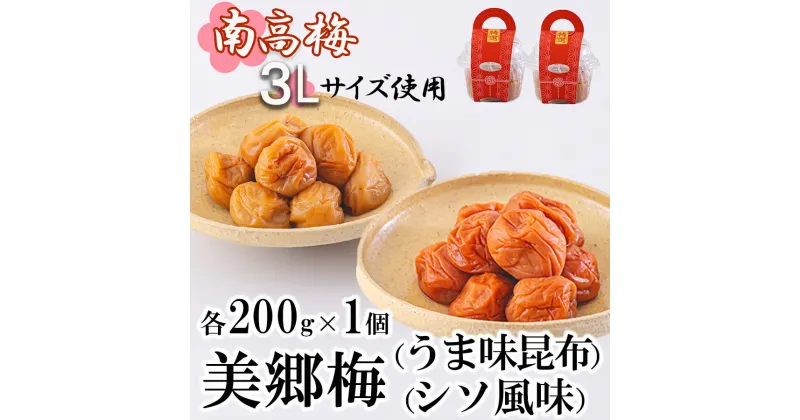 【ふるさと納税】梅 南高梅 美郷梅使用 梅干し 昆布 シソ 風味 セット 3L サイズ 200g ×2 [農林産物直売所 美郷ノ蔵 宮崎県 美郷町 31ab0111] うめ ウメ 個包装 詰め合わせ