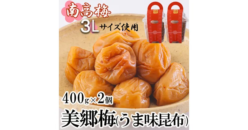 【ふるさと納税】南高梅 梅干し 美郷梅 昆布 400g×2個 3Lサイズ 塩分控えめ A級品 [農林産物直売所 美郷ノ蔵 宮崎県 美郷町 31ab0112] 国産 宮崎県産 美郷産 常温 送料無料 贈答品 プレゼント ギフト 贈り物 おやつ お菓子 料理 調理 おかず 普段使い