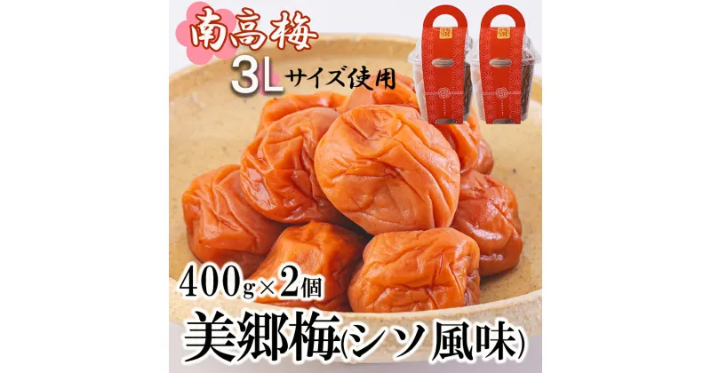 【ふるさと納税】南高梅 梅干し 美郷梅 シソ風味 400g×2 3Lサイズ 塩分控えめ A級品 [農林産物直売所 美郷ノ蔵 宮崎県 美郷町 31ab0113] 国産 宮崎県産 美郷産 常温 送料無料 贈答品 プレゼント ギフト 贈り物 おやつ お菓子 調理 おかず 料理 普段使い