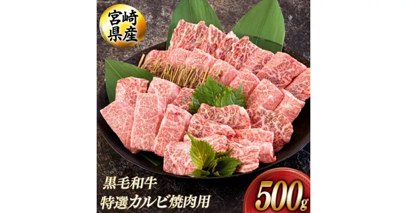 【ふるさと納税】黒毛和牛 特選 カルビ 焼肉 500g [アグリ産業匠泰 宮崎県 美郷町 31be0024] 牛肉 炒め BBQ バーベキュー キャンプ 普段使い 調理 おかず 料理 国産 送料無料 パック 厳選 カルビ丼 クッパ 焼肉丼 スープ チャーハン 生春巻き マリネ 照り焼き 甘辛炒め