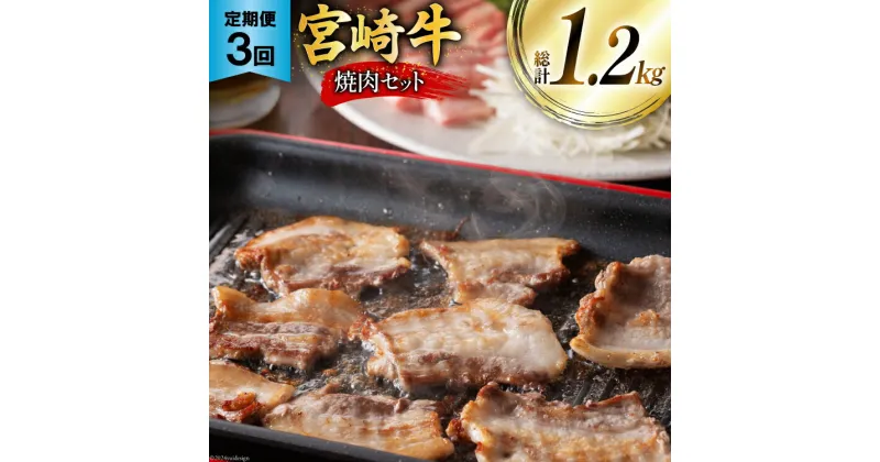 【ふるさと納税】牛肉 定期便 宮崎牛焼肉セット 3ヶ月定期便 [ミヤチク 宮崎県 美郷町 31au0057] 焼肉 冷凍 小分け 個包装 宮崎牛 牛 牛肩ロース 牛ウデ 牛モモ