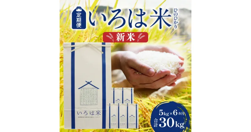 【ふるさと納税】【先行予約】 《令和6年度米》 定期便 6ヶ月 宮崎県 高千穂町 ［秋元産］ ひのひかり いろは米 5kg×6回 計30kg 棚田米 白米 国産 宮崎県産 高千穂町産 お米 米 精米 高千穂米 単一原料米 冷めてもおいしい 産地直送 産直 贈り物 ギフト 贈答 送料無料 T-1