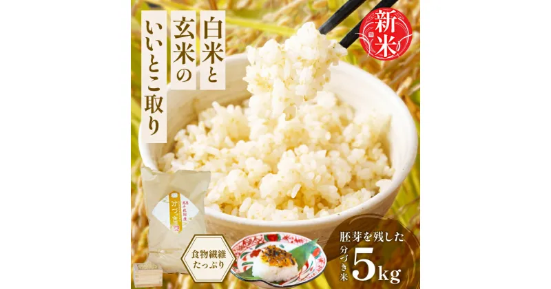 【ふるさと納税】【新米】高千穂郷産 分づき米 5kg×1袋 宮崎県産 高千穂町産 ヒノヒカリ 玄米 腸活 食物繊維 5分づき 6分づき 国産 送料無料