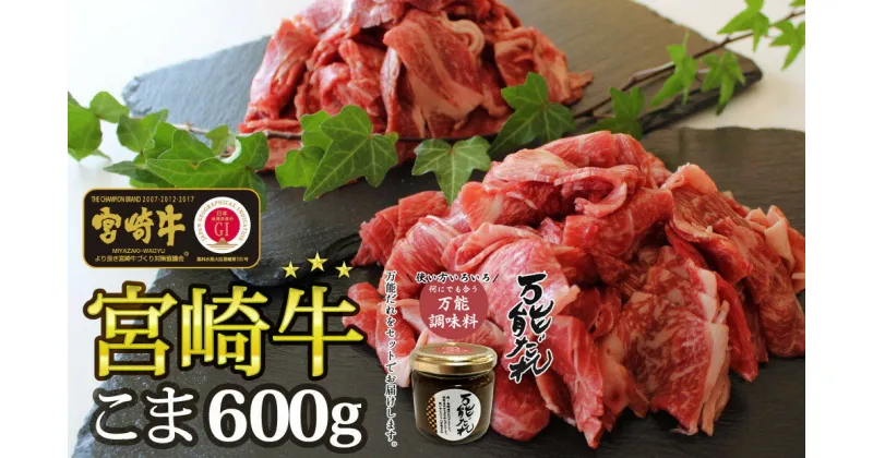 【ふるさと納税】宮崎牛 小間切れ 600g 万能だれ付き 牛肉 お肉 肉 宮崎牛小間切れ 小間切れ肉 こま肉 牛こま 精肉 たれ セット 牛丼 肉じゃが 炒め物 お弁当 普段使い 使い勝手 冷凍 和牛 国産牛 ブランド牛 宮崎県産 全国和牛能力共進会 お取り寄せ 高千穂町 送料無料