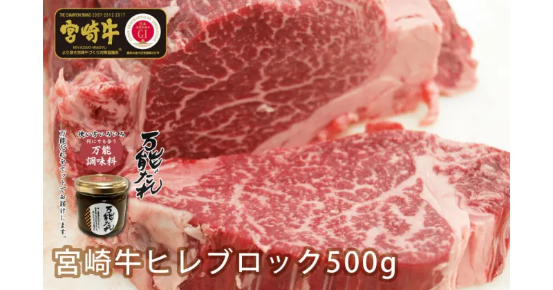 【ふるさと納税】S-13 宮崎牛 ヒレブロック 500g 万能だれ付き 牛肉 肉 お肉 ヒレ ヒレ肉 精肉 ヒレブロック ブロック肉 ブロック タレ 万能ダレ 国産 黒毛和牛 和牛 宮崎県産 ギフト 贈り物 プレゼント 贈答 グルメ お取り寄せ 焼き肉 BBQ 宮崎県 高千穂町 送料無料