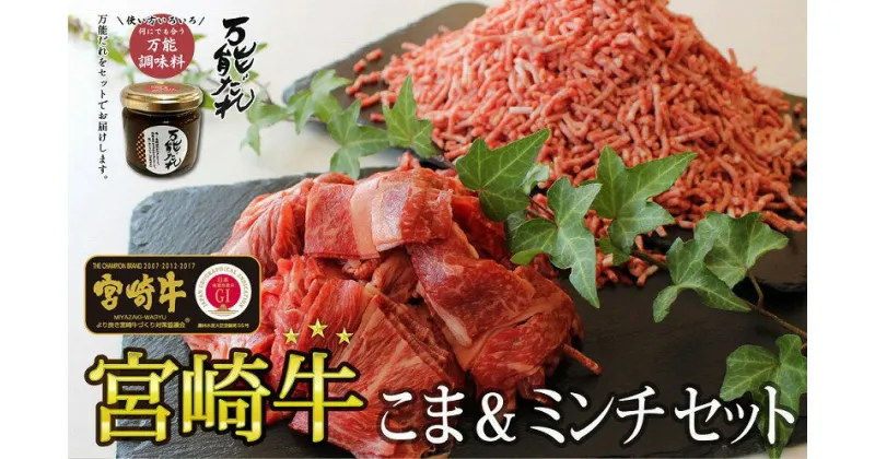 【ふるさと納税】S-5 宮崎牛 こま肉・ミンチセット1kg 万能だれ付き 牛肉 お肉 肉 宮崎牛小間切れ 小間切れ肉 こま肉 牛こま ミンチ 牛ミンチ ミンチ肉 精肉 たれ セット 炒め物 お弁当 普段使い 使い勝手 冷凍 和牛 国産牛 宮崎県産 お取り寄せ 高千穂町 送料無料