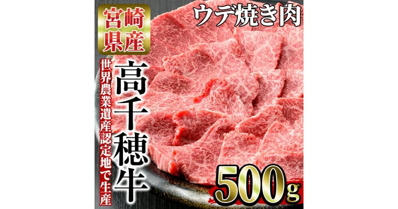 【ふるさと納税】高千穂牛 ウデ焼き肉(500g)国産 宮崎県産 宮崎牛 牛肉 焼肉 ウデ肉 霜降り A4 和牛 ブランド牛 【MT001】【JAみやざき 高千穂牛ミートセンター】