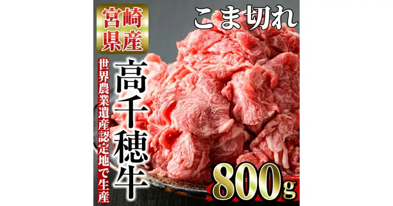 【ふるさと納税】高千穂牛 こま切れ(800g)国産 宮崎県産 宮崎牛 牛こま 牛肉 炒め物 切り落とし 霜降り A4 和牛 ブランド牛 【MT002】【JAみやざき 高千穂牛ミートセンター】