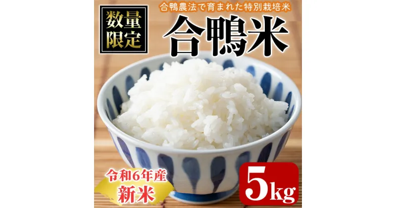 【ふるさと納税】＜数量限定＞令和6年産合鴨米(5kg×1袋)米 白米 精米 国産 ご飯【MU007】【日之影町村おこし総合産業(株)】