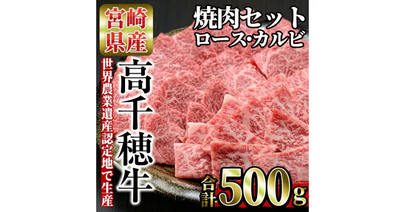 【ふるさと納税】高千穂牛 焼き肉セット(ロース・カルビ各250g) 国産 宮崎県産 宮崎牛 牛肉 焼肉 ロース カルビ 霜降り A4 和牛 ブランド牛【MT010】【JAみやざき 高千穂牛ミートセンター】