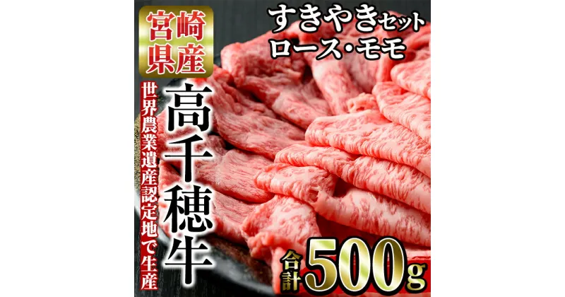 【ふるさと納税】高千穂牛 すき焼きセット(ロース・モモ各250g)国産 宮崎県産 宮崎牛 牛肉 焼肉 ロース モモ 霜降り A4 和牛 ブランド牛【MT011】【JAみやざき 高千穂牛ミートセンター】