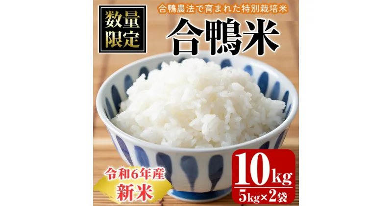 【ふるさと納税】＜数量限定＞令和6年産合鴨米(5kg×2袋)米 白米 精米 国産 ご飯【MU027】【日之影町村おこし総合産業(株)】