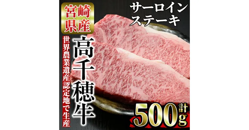 【ふるさと納税】高千穂牛 サーロインステーキ(250g×2枚)国産 宮崎県産 宮崎牛 牛肉 ステーキ サーロイン 霜降り A4 和牛 ブランド牛【MT013】【JAみやざき 高千穂牛ミートセンター】